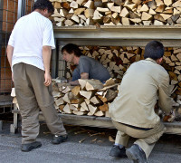 bois_de_feu19